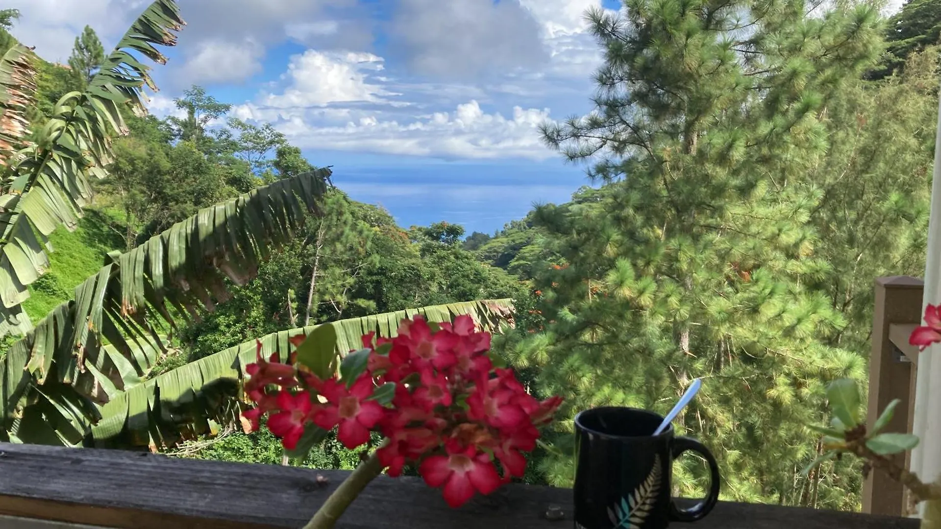 Adorable Guestroom Au Coeur De La Verdure Papeete  0*, Papeete (Tahiti)